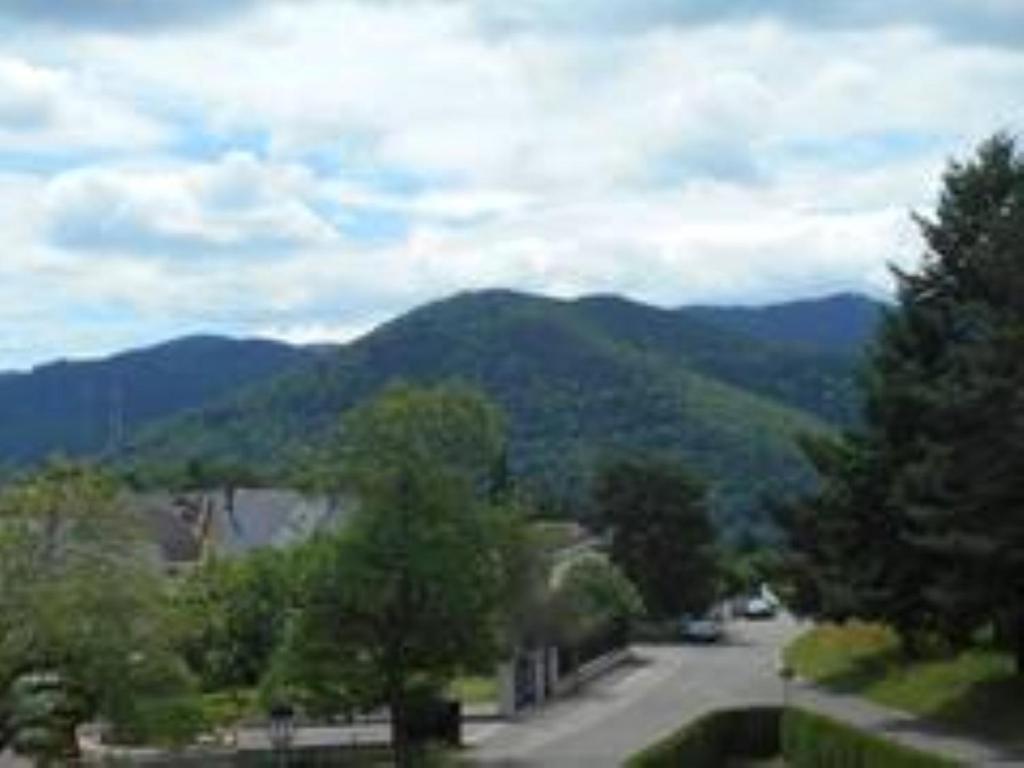 Gite Spacieux, Lumineux Et Tres Cosy Lautenbach Exterior foto
