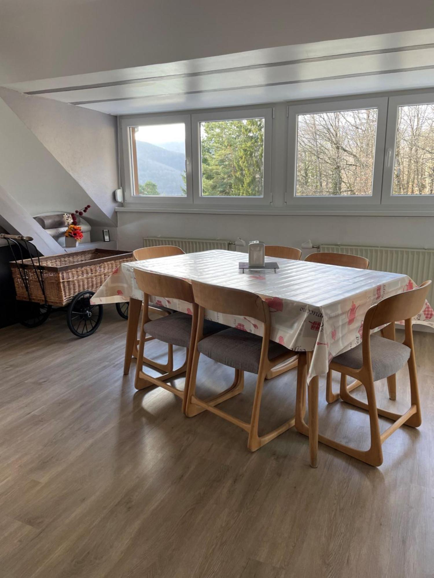 Gite Spacieux, Lumineux Et Tres Cosy Lautenbach Exterior foto